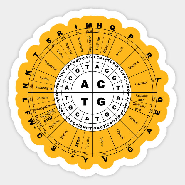 DNA The Circle of Life Dna Sticker TeePublic